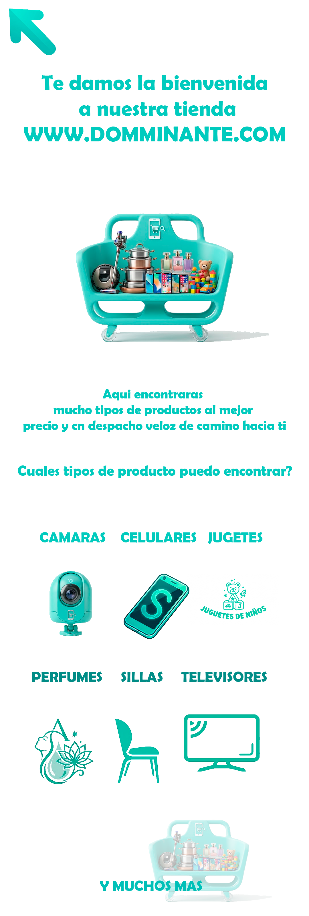 Catálogo 1